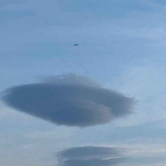 lemonadeさんの部屋