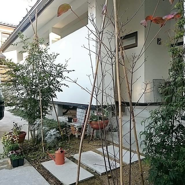 mignonさんの実例写真