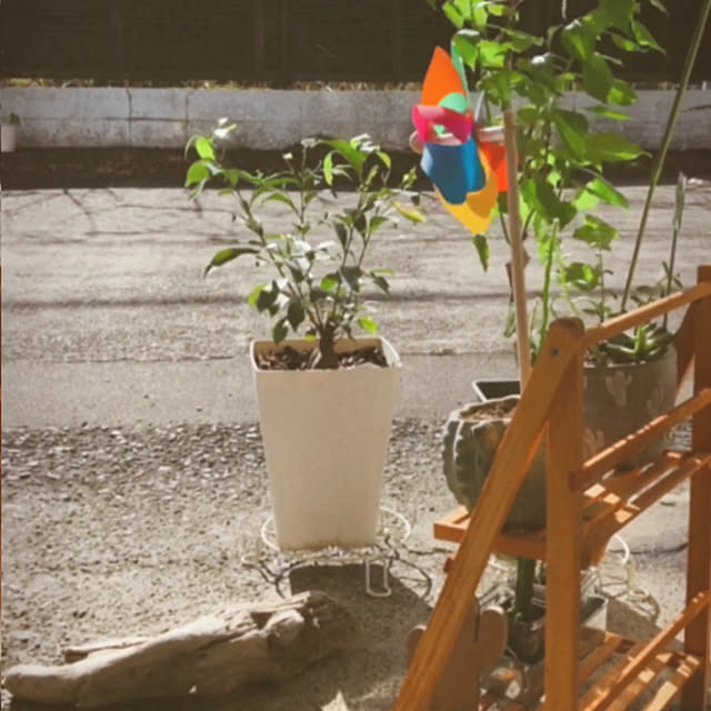 実例写真