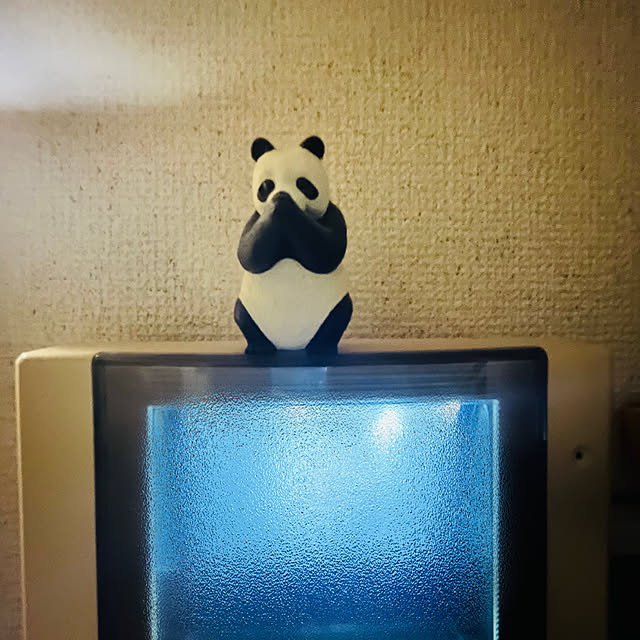 hasimoさんの実例写真