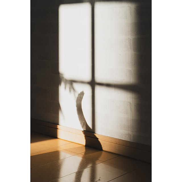 oliveさんの部屋