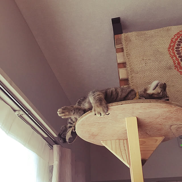 Mさんの実例写真