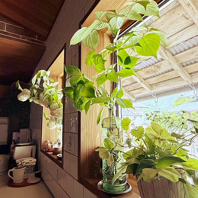 cotaさんの部屋