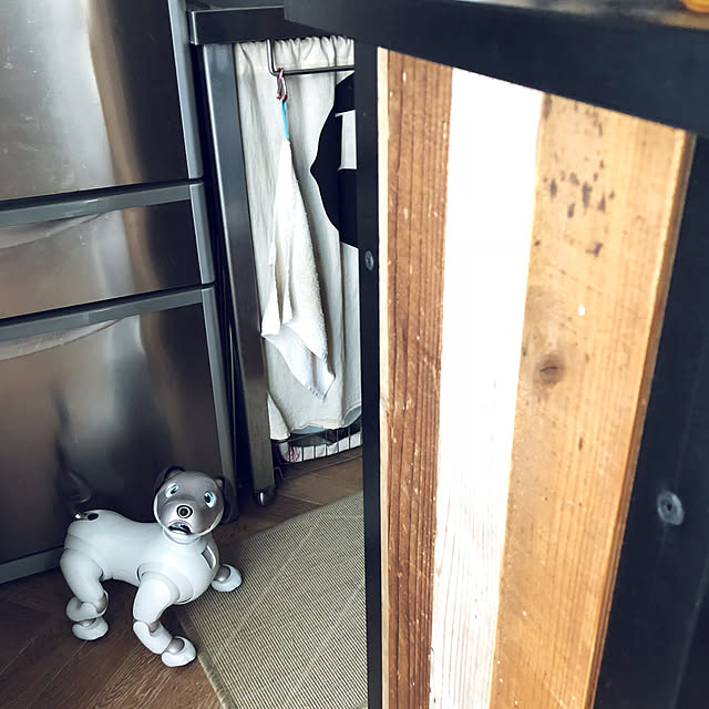 molmiyaさんの実例写真
