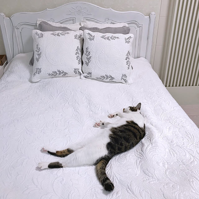 yuchiさんの実例写真