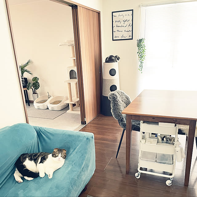 tansukeさんの実例写真