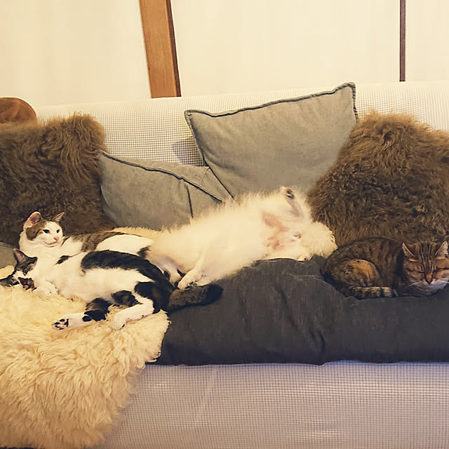 e-mailさんの実例写真