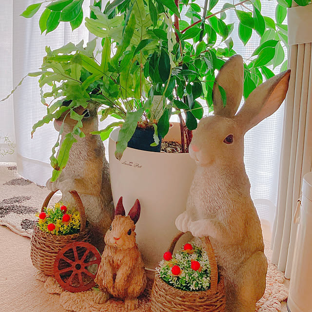 Hanakaさんの部屋