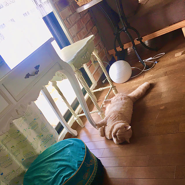 naokoさんの部屋