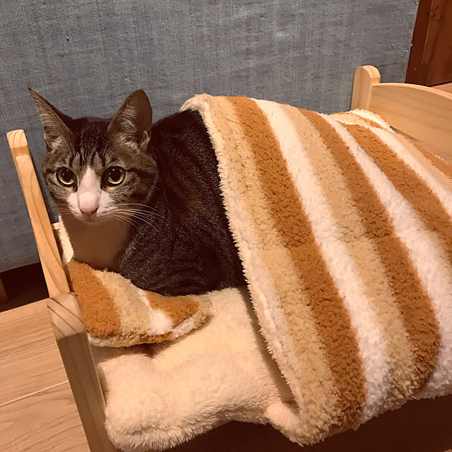 blackcatさんの実例写真