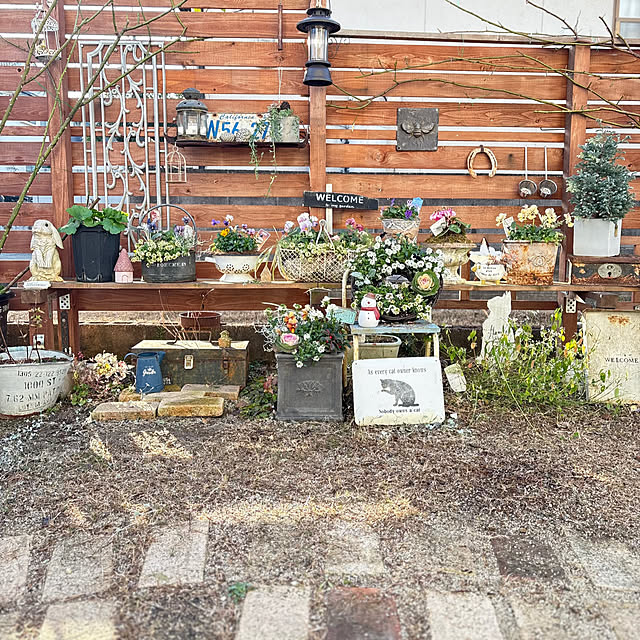 mayumiさんの実例写真