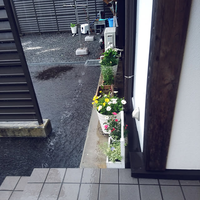 Green-appleさんの実例写真