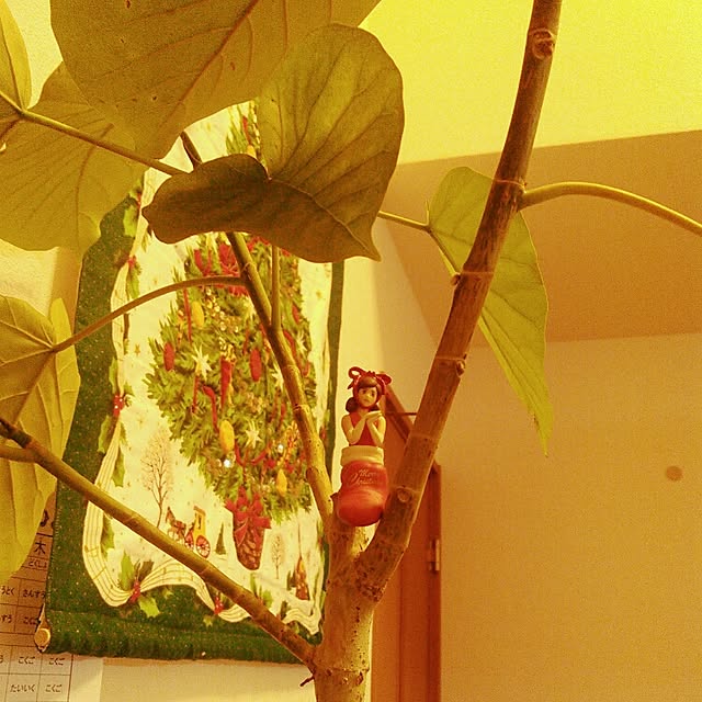 akr29さんの実例写真