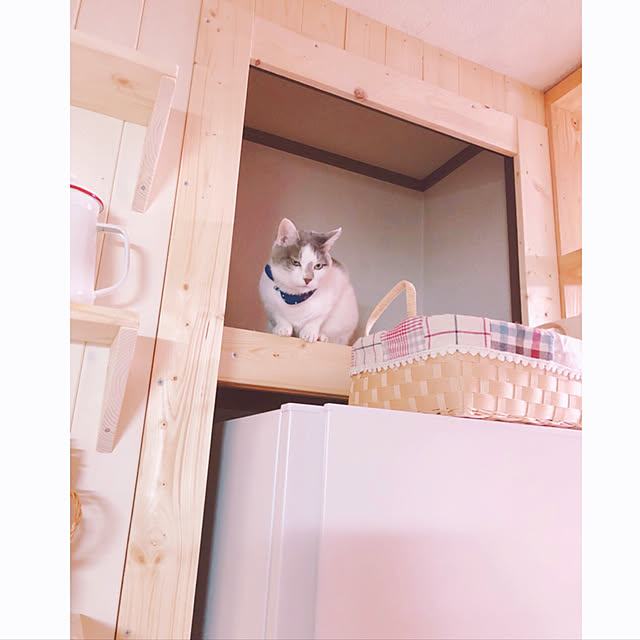 mintcatさんの実例写真