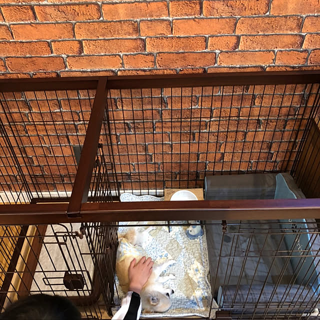 punkdrunker4さんの実例写真