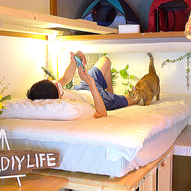 catpapaさんの実例写真
