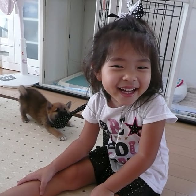 kotaさんの実例写真
