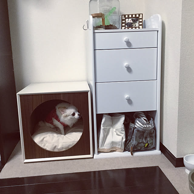 chapiさんの実例写真