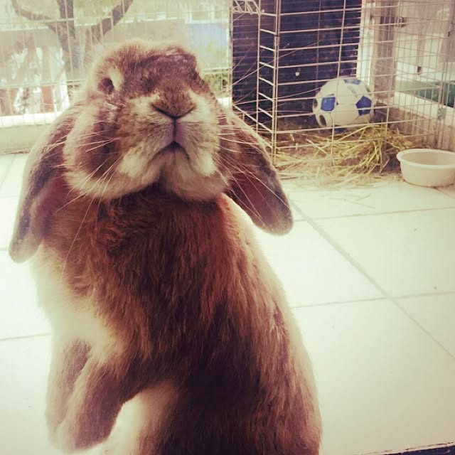 MARIさんの実例写真