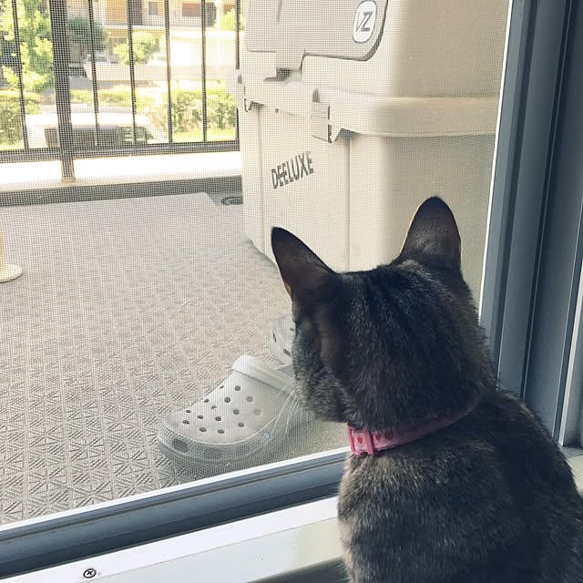 sayasさんの実例写真