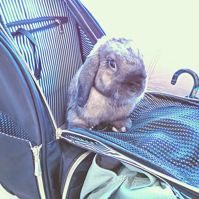 mariaさんの実例写真
