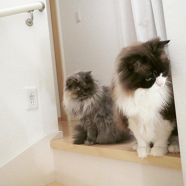hiroshiさんの実例写真