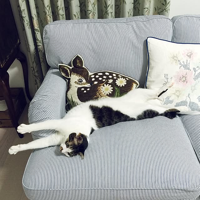 yuchiさんの実例写真