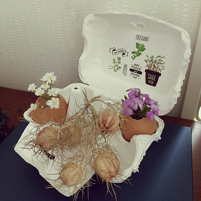 eshinobumさんの実例写真