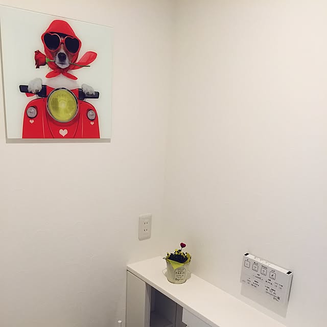 実例写真