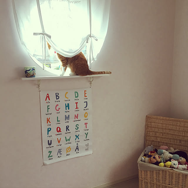 myuuさんの実例写真