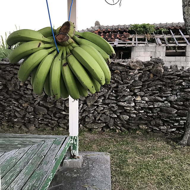 marinebellさんの実例写真