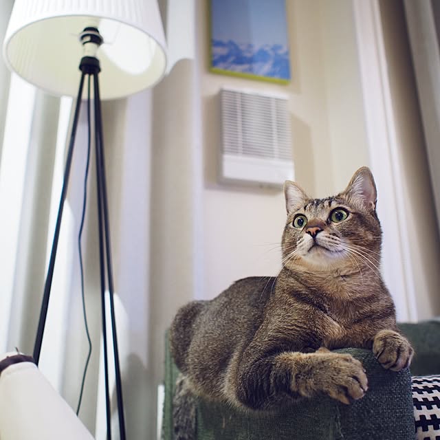 Reikoさんの実例写真
