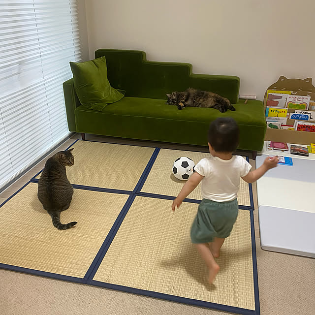 mikomaruさんの実例写真