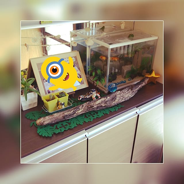 shihoさんの実例写真