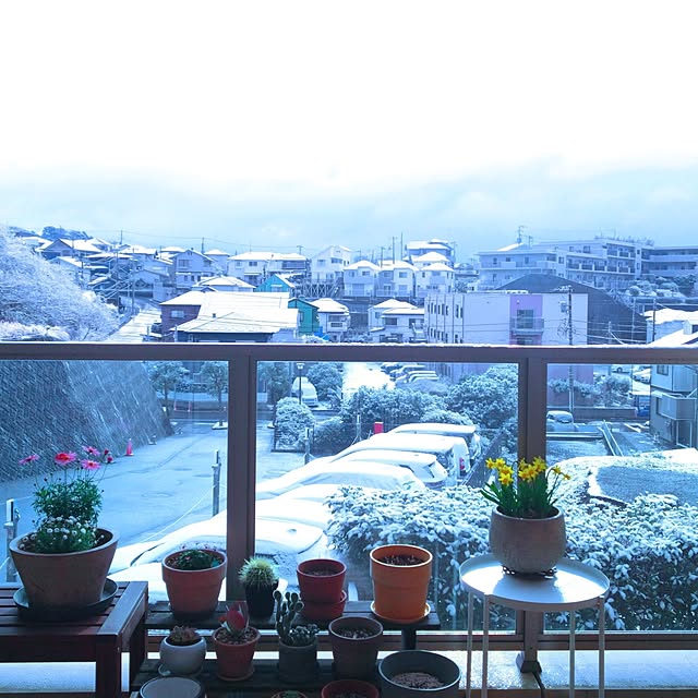 enbrellaさんの実例写真