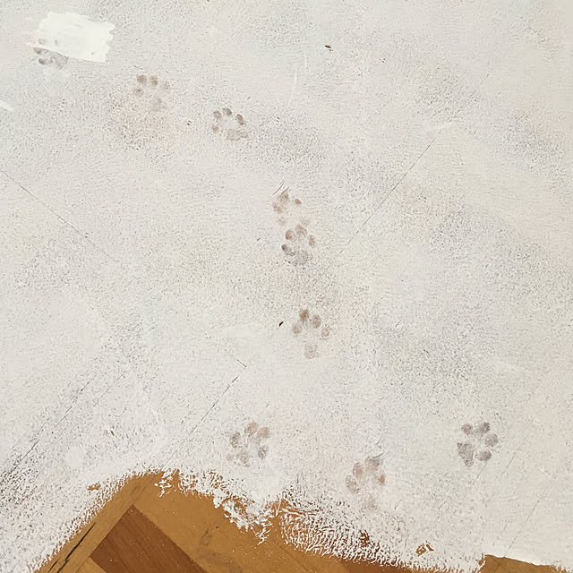 Hanagoboさんの実例写真