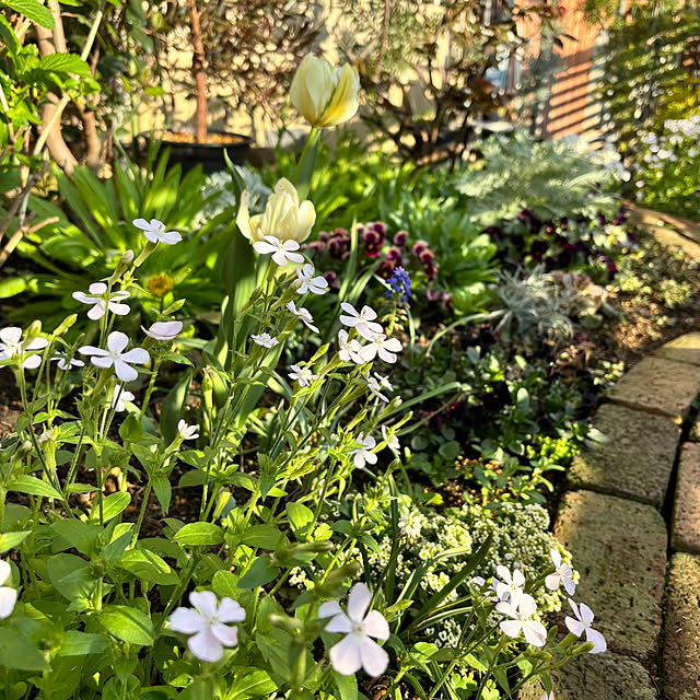 kyoko1124koさんの部屋