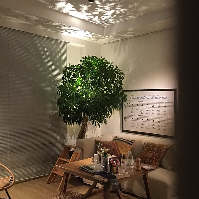 piyohopさんの実例写真