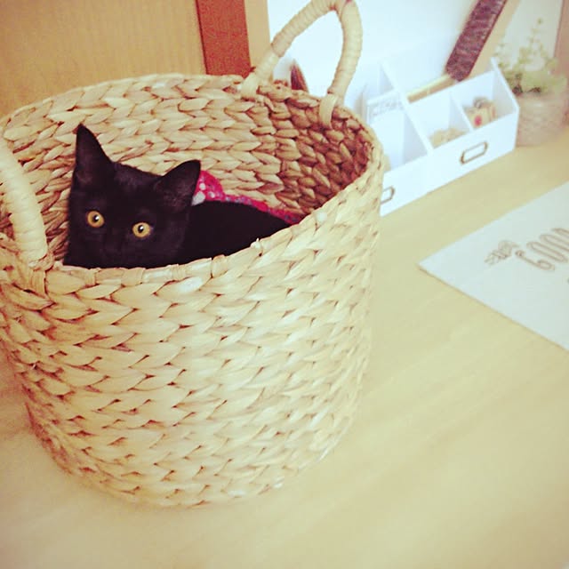 chaaさんの実例写真