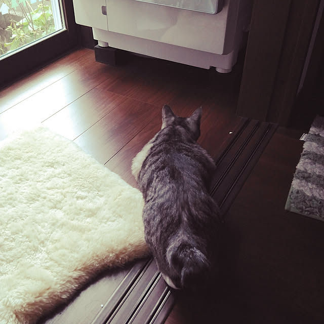 Mikaさんの実例写真