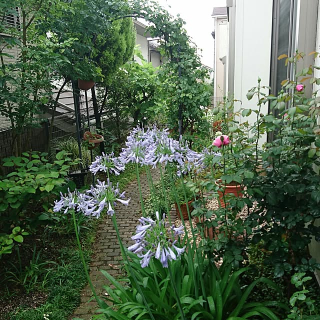 kanamiさんの実例写真