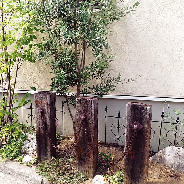 yokoさんの実例写真