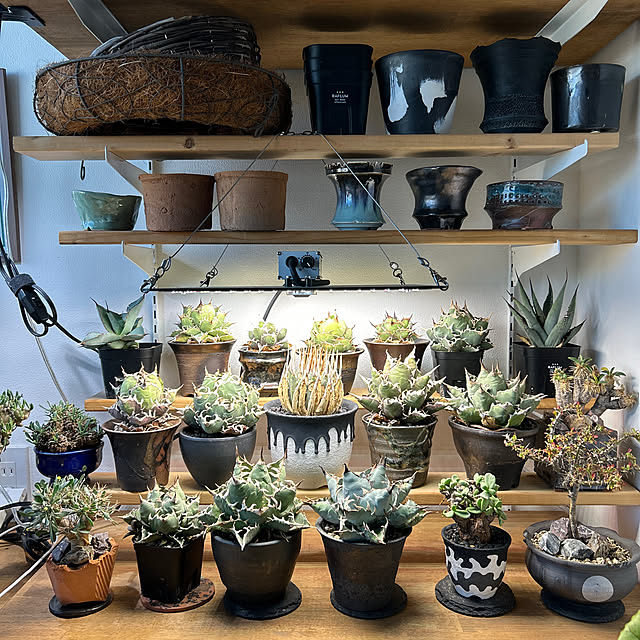 Rさんの実例写真