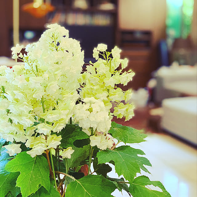 flowerさんの実例写真