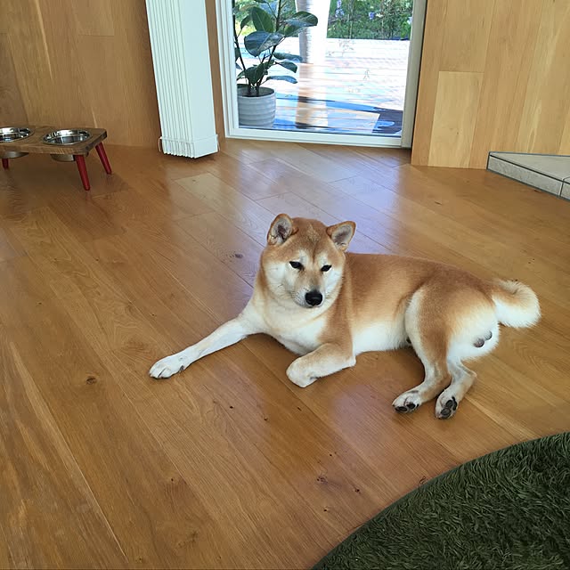 yuppiさんの実例写真