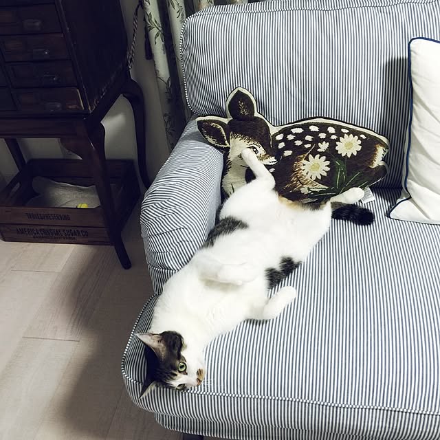 yuchiさんの実例写真