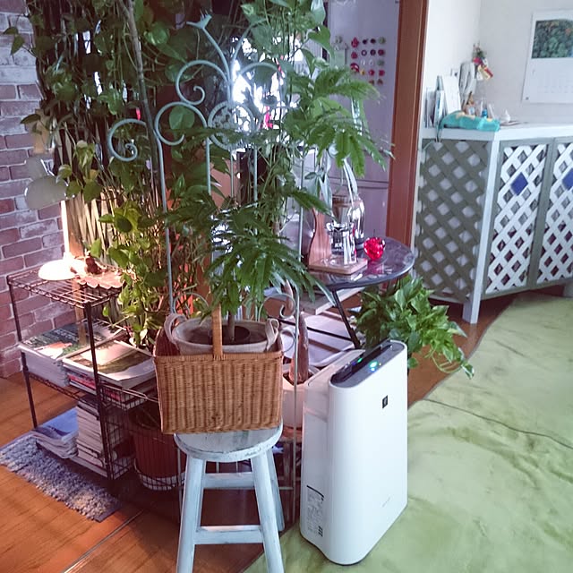 asaさんの実例写真