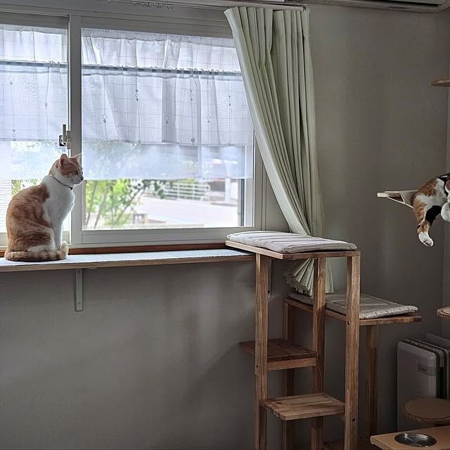 koyurizuさんの実例写真