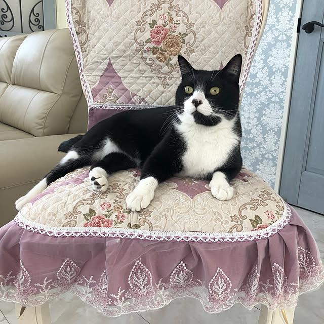 Fujikoさんの部屋
