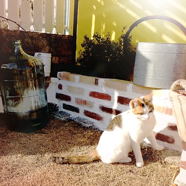 sawaさんの実例写真